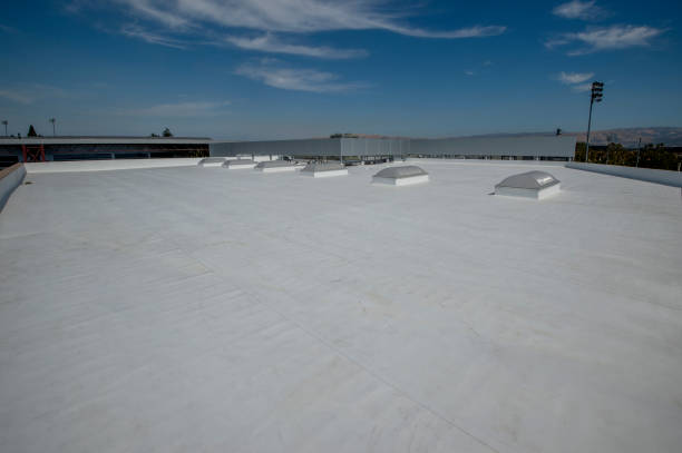 Best Rubber Roofing (EPDM, TPO)  in Deatsville, AL