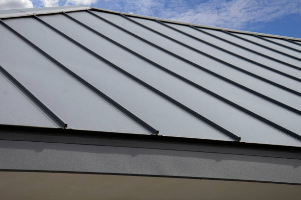 Best Roof Waterproofing  in Deatsville, AL