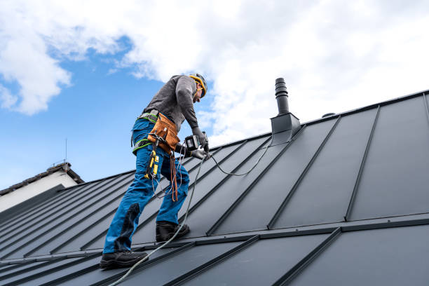 Best Roof Insulation Installation  in Deatsville, AL